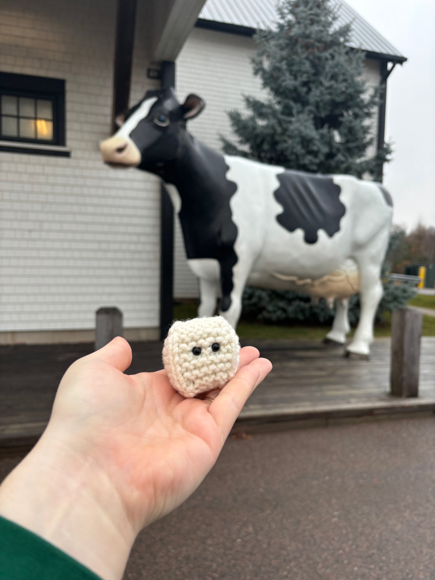 Hand holding a Cubie with a large cow statue in the background. PEI, Canada
